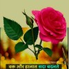 Kamal Saini