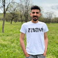 mehmet salmi