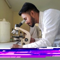 Manish Prajapati