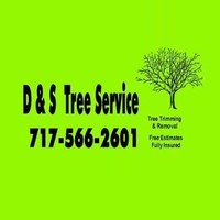 D and S Tree Service