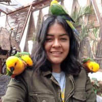 Viviana Yaret Montes Siordia