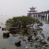 李棣佳