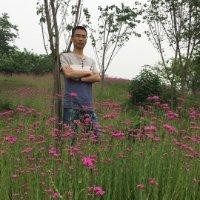 杨元军