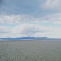 Naoimh O Regan