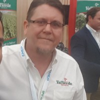 Jeff Holton