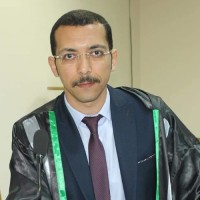 Mostafa Farid