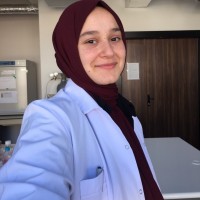 Mariam Idrees