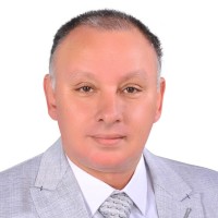 Wafik M. Taha