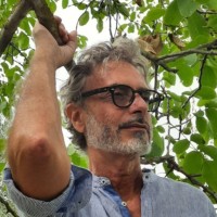 Stefano Menini
