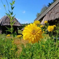 Олег Горелик