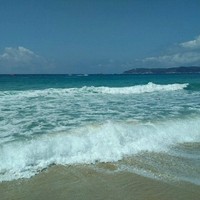 张福清