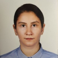Shabnam Milani