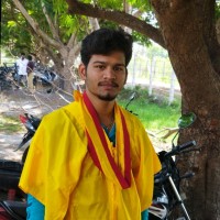 Panneer Selvam M