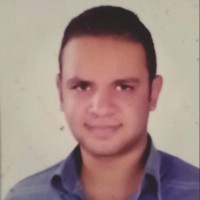 محمد فرغلى