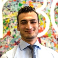 Ali Amerian