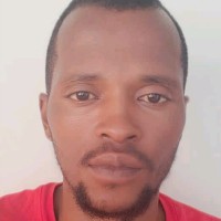 Sibonginkosi N Gwebu