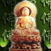 钱柯帆