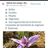 Doukarne Khalid