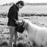 Petra Haring