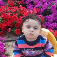 Ayman Ghonim