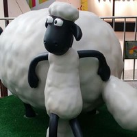 陈兜兜