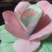 Keerthana P