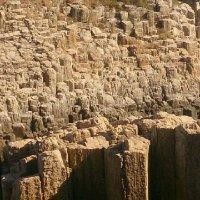 周建标