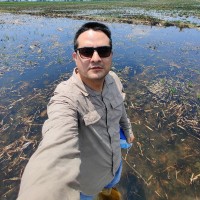 Javier Loyola Romero