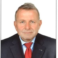 Rainer Domani