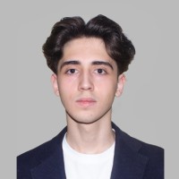 Farid Malikzade, Fmva®