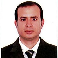 Wael El Gohary