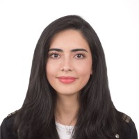 Ana Julia Hidalgo Bravo