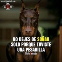 Jose Lombardo