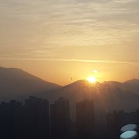 임동하
