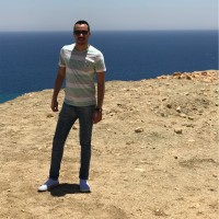 Abdelhameed Ahmed