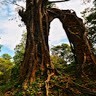 Travelus Cambodia