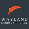 Jackson Wayland