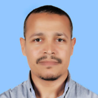 Amr M. Nashaat