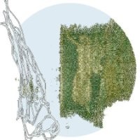 Andreas Maria Jacobs