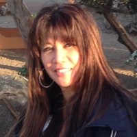 Lynn Steele