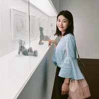 Fan Li