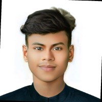 Mahmudul Al Hridhoy