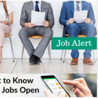 Job Alert