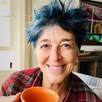 Hilary Perkins (Nell Robinson)