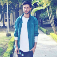 Amir Sohial