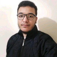 Mohamed Hesham
