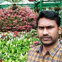 Selvaraj S