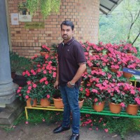 Harish P H
