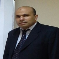 Hany Hamdy Elkhayat