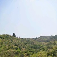 郭金萍